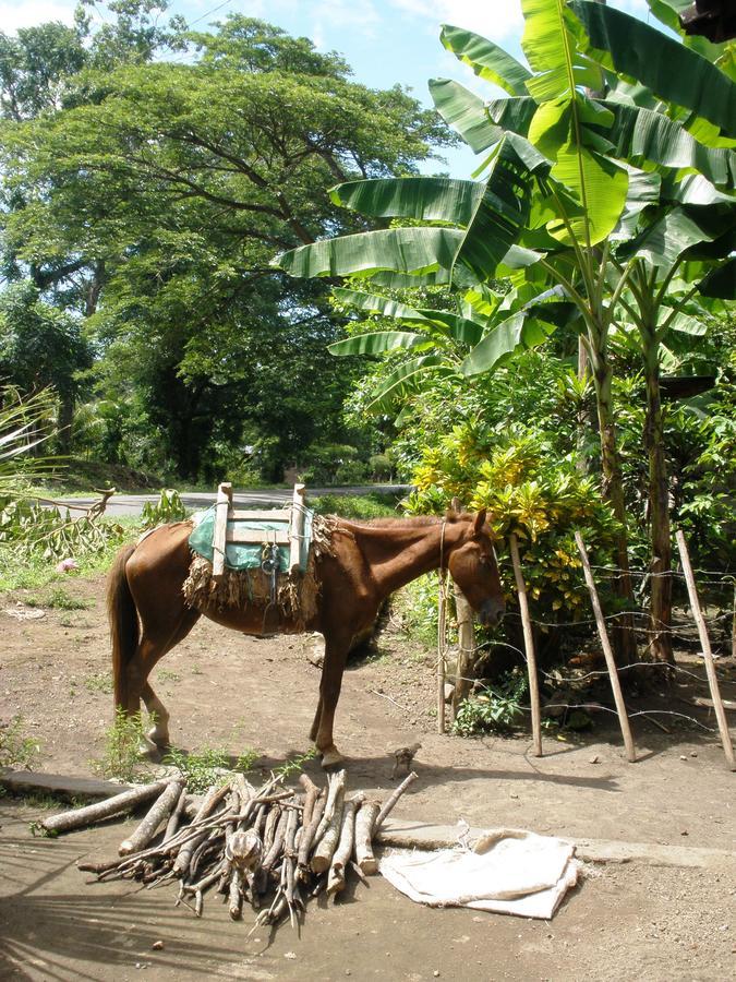 B&B, Family Run Homestay, Hospedaje La Penita Altagracia Dış mekan fotoğraf